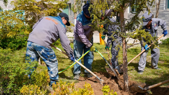 凯时尊龙人生就是博·Z6(中国)首页官网