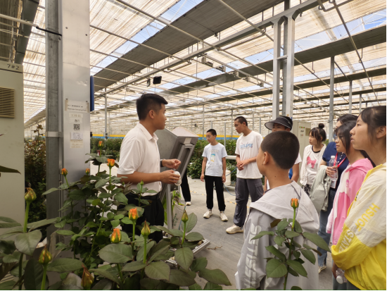 凯时尊龙人生就是博·Z6(中国)首页官网