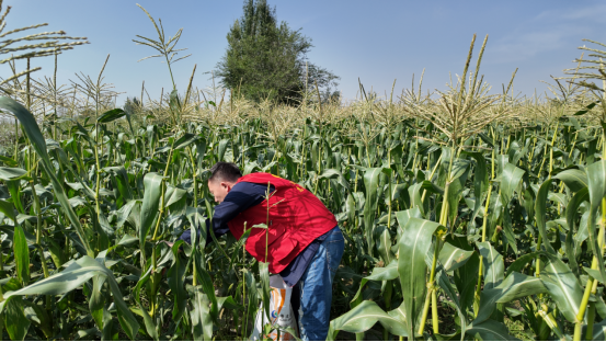凯时尊龙人生就是博·Z6(中国)首页官网