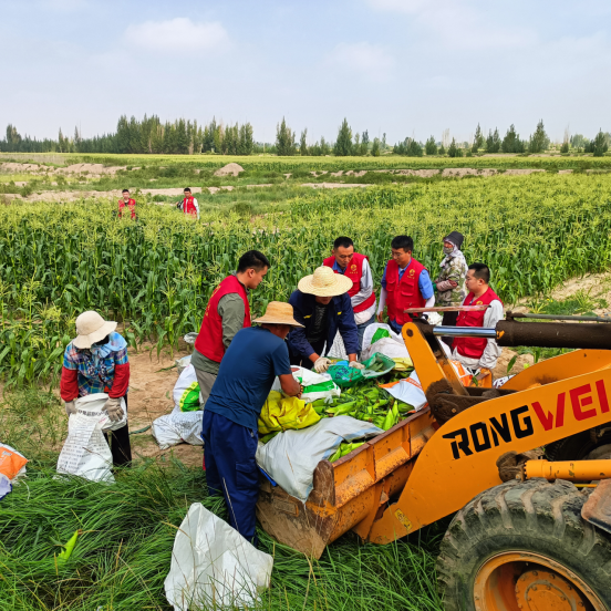 凯时尊龙人生就是博·Z6(中国)首页官网