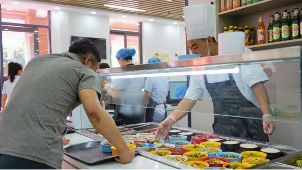 凯时尊龙人生就是博·Z6(中国)首页官网