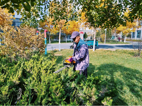 凯时尊龙人生就是博·Z6(中国)首页官网